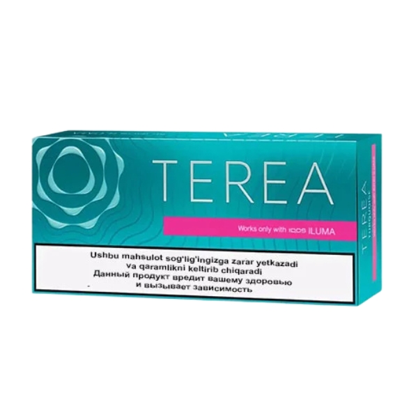TEREA Turquoise Menthol from Uzbekistan in Dubai