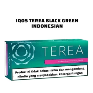 IQOS TEREA Black Green Indonesian sticks for IQOS ILUMA with strong menthol tobacco flavor available in UAE at TEREA Shop